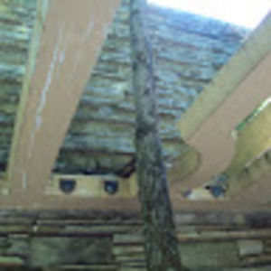 Meet your Posher, Staci